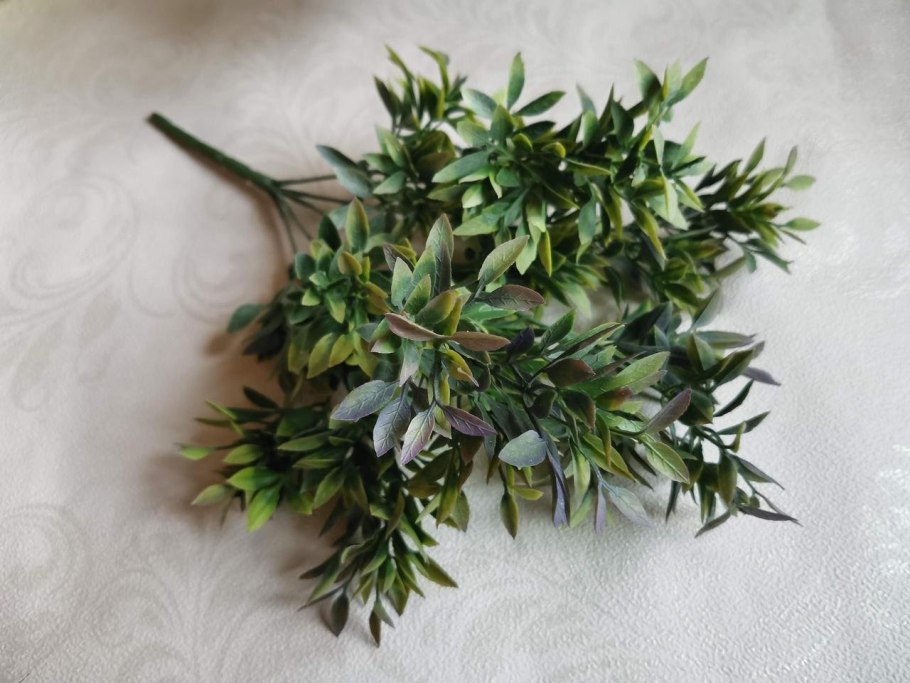 Рускус Италия