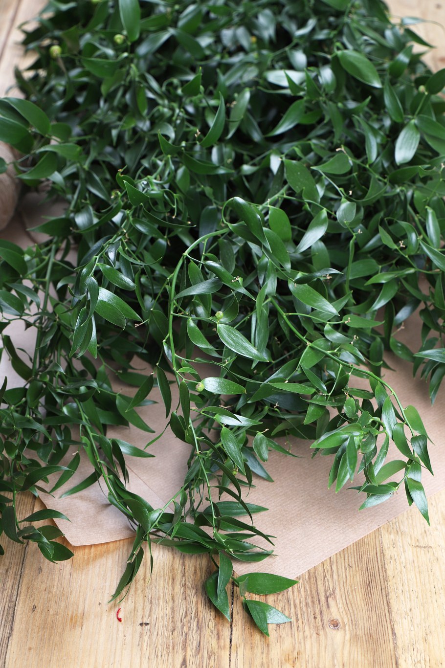 Рускус Лонг