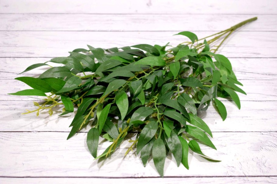 Листья Салал