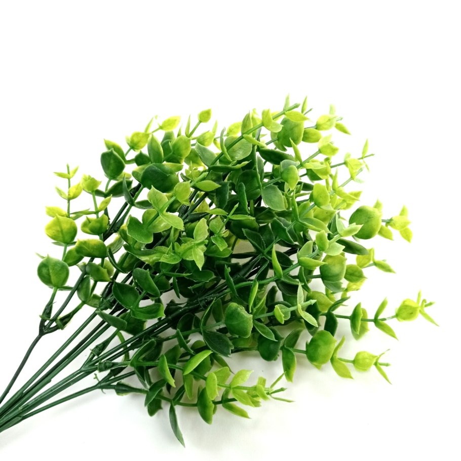 Рускус Хайпо