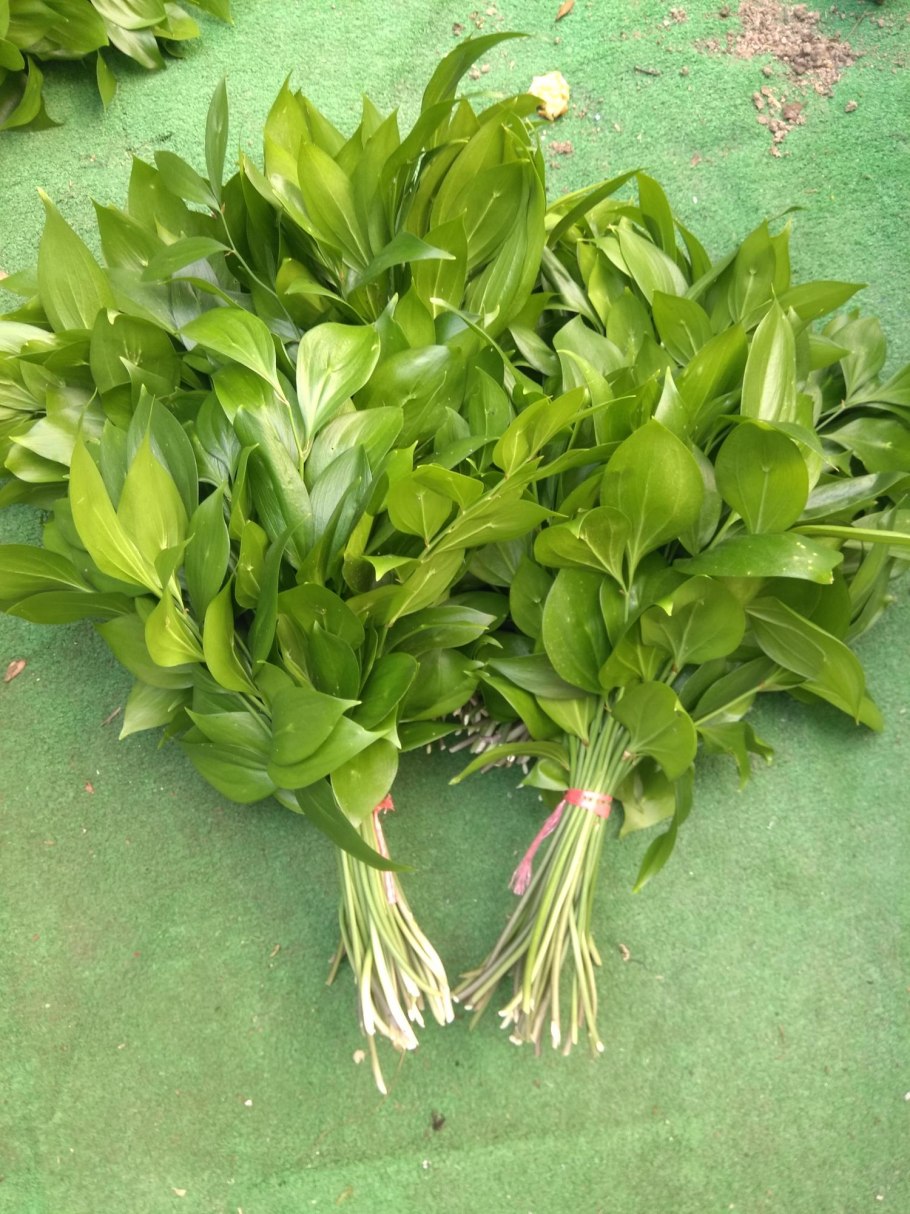 Зелень Рускус Израиль 60