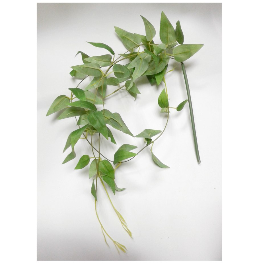 Рускус Медиум