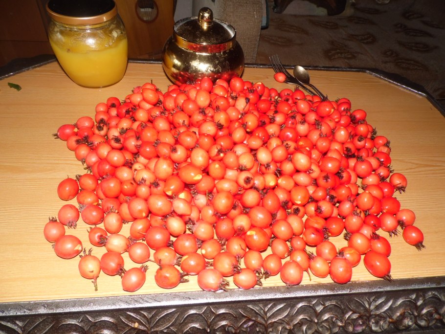 Гибрид боярышника и яблони