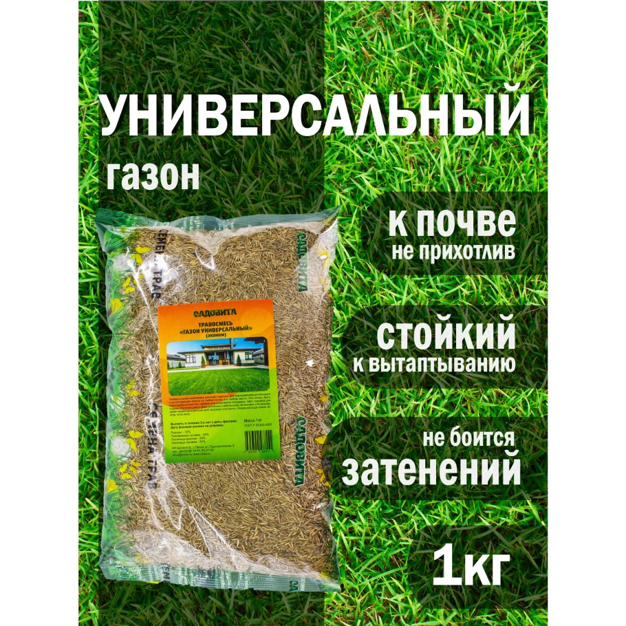 Тимофеевка Луговая, райграс, овсяница Луговая