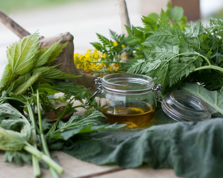 Лист крапивы фото