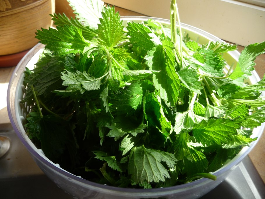 Десерты из крапивы