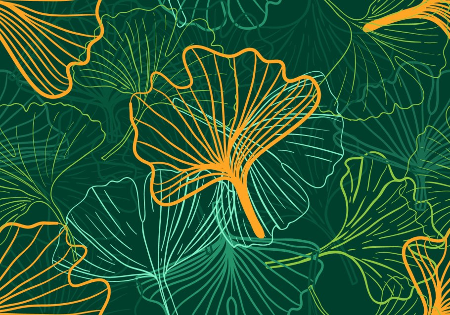 Гинкго билоба Snow cloud