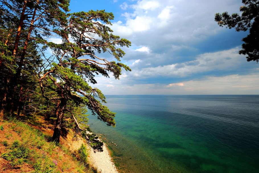 Сосновый Бор Байкал