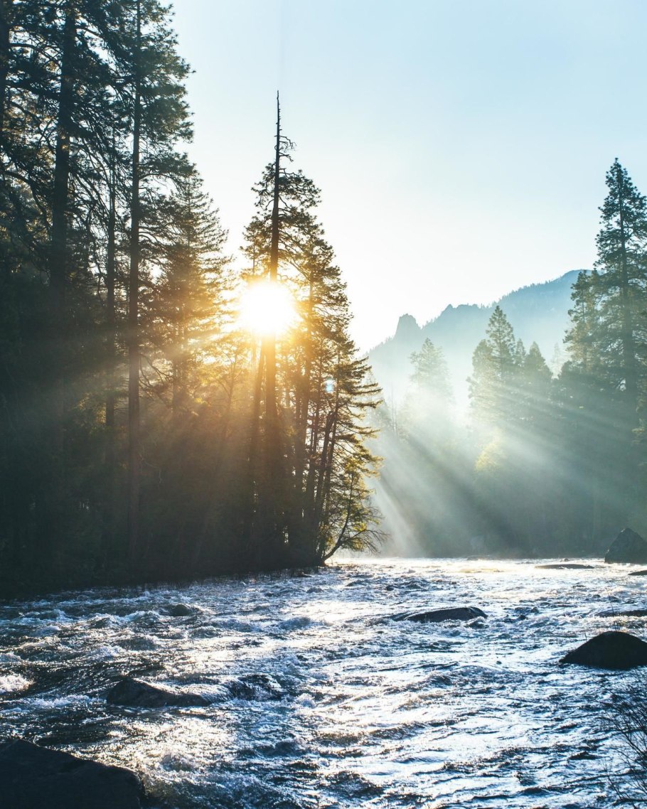 Природа лес море