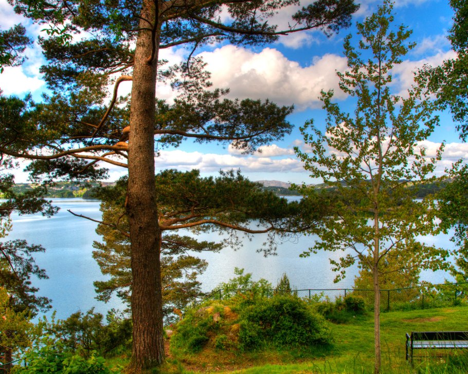 Закат в лесу