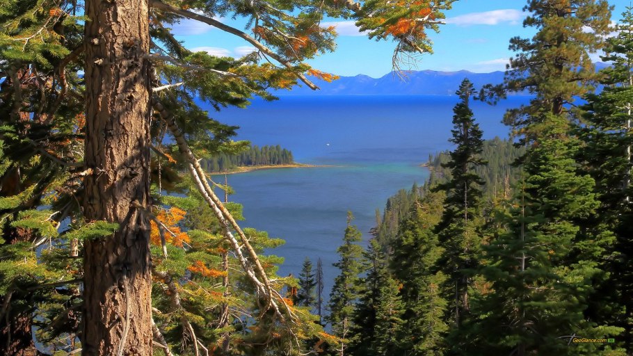 Норвегия лес Бор