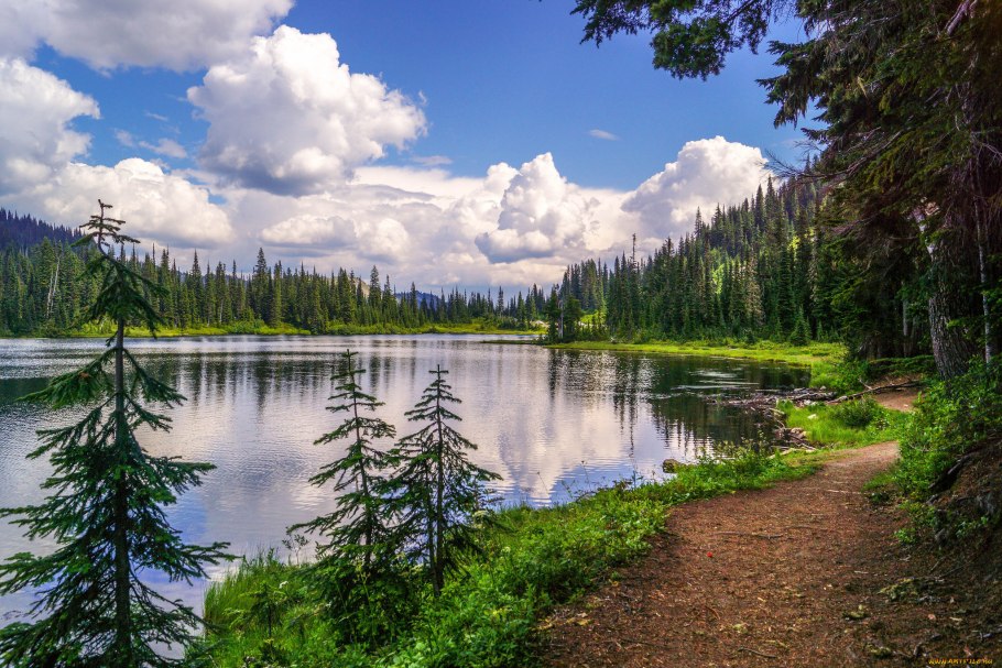 Тайга (хвойные леса) реки Сыктывкар