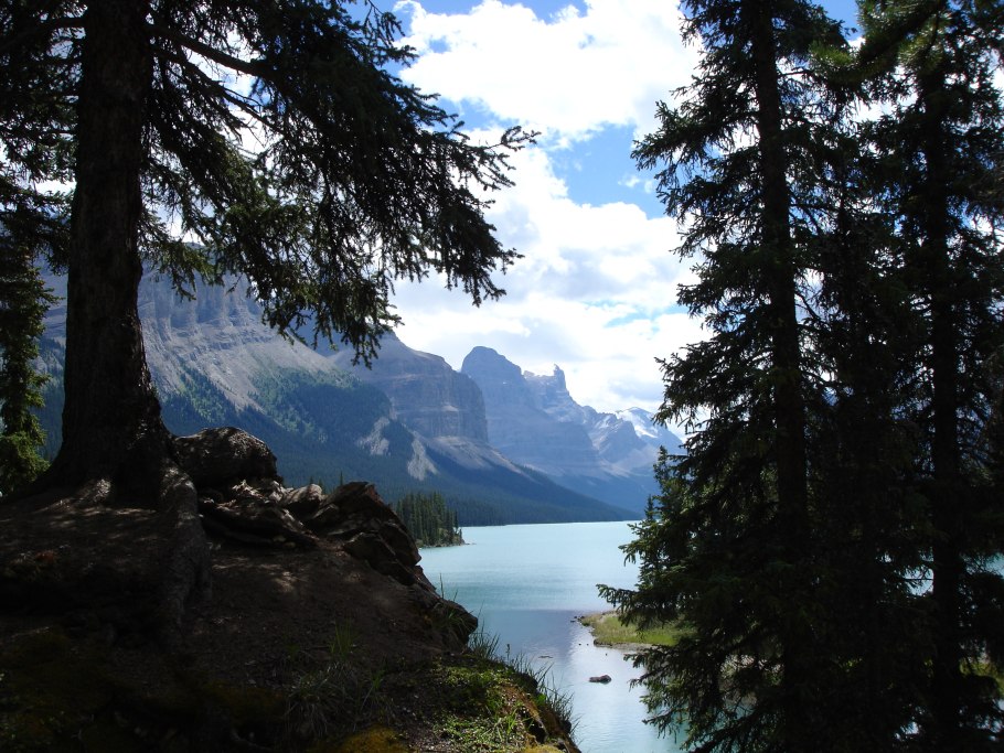 Природа тайги