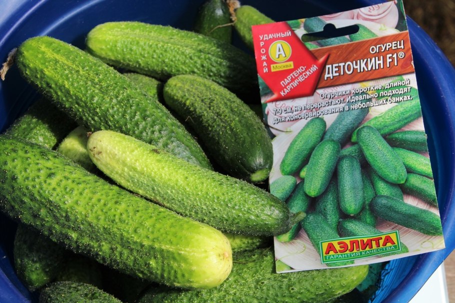 Огурец Берендей f1
