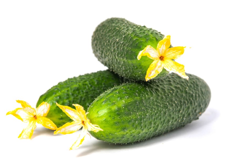 Таганай ф1 огурец