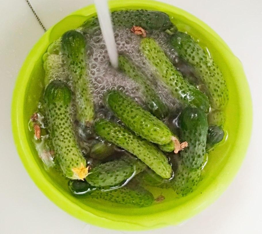 Огурцы в ассортименте