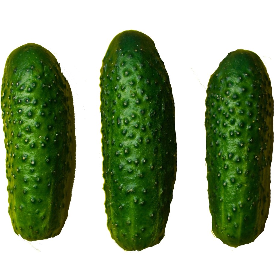 Огурец пальчик (12шт) плазма