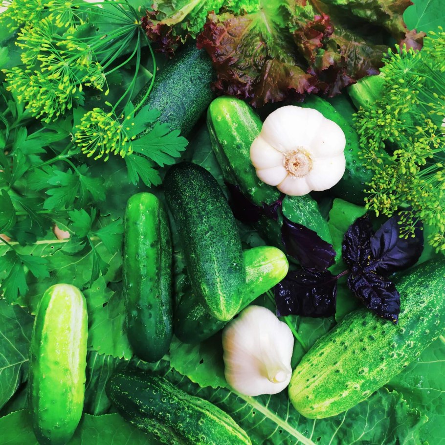 Огурец Парижский корнишон