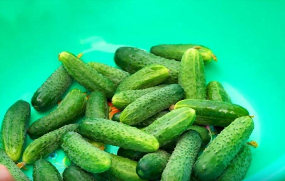 Огурцы домашние