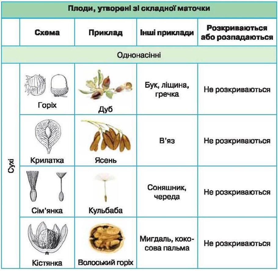 Типы плодов и семян таблица