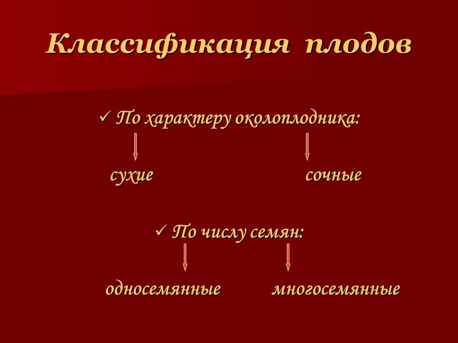Образование семян и плодов у покрытосеменных растений