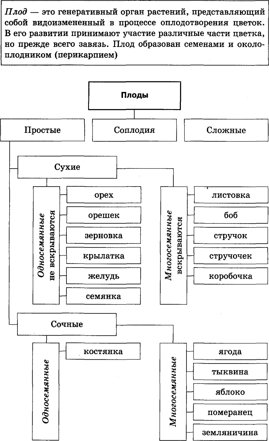Запасающая ткань семени