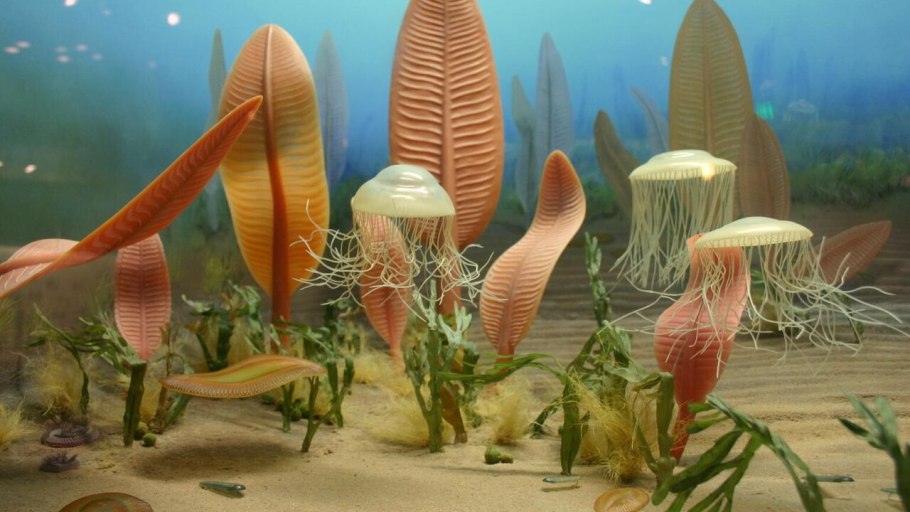 Папоротник Фризелла