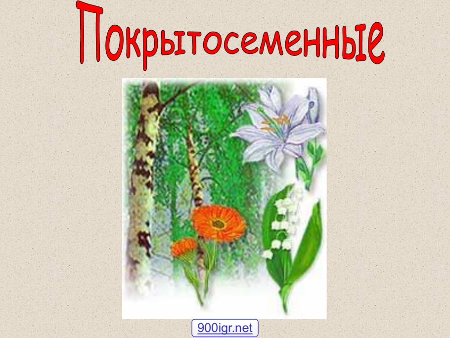 Таблица семейств класса однодольных растений 6 класс