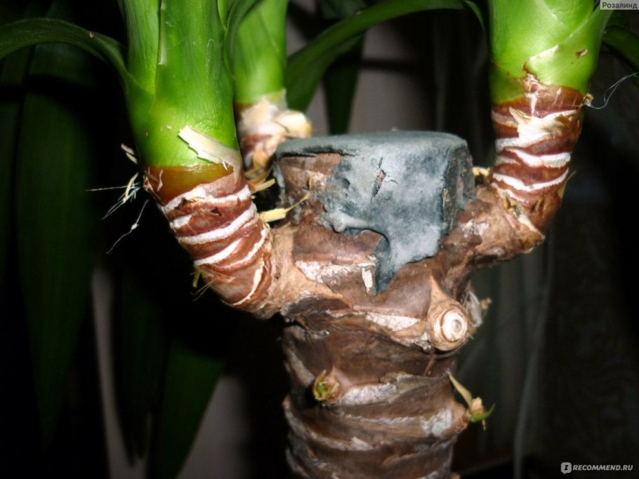 Крючки Gamakatsu Hook LS-1810b