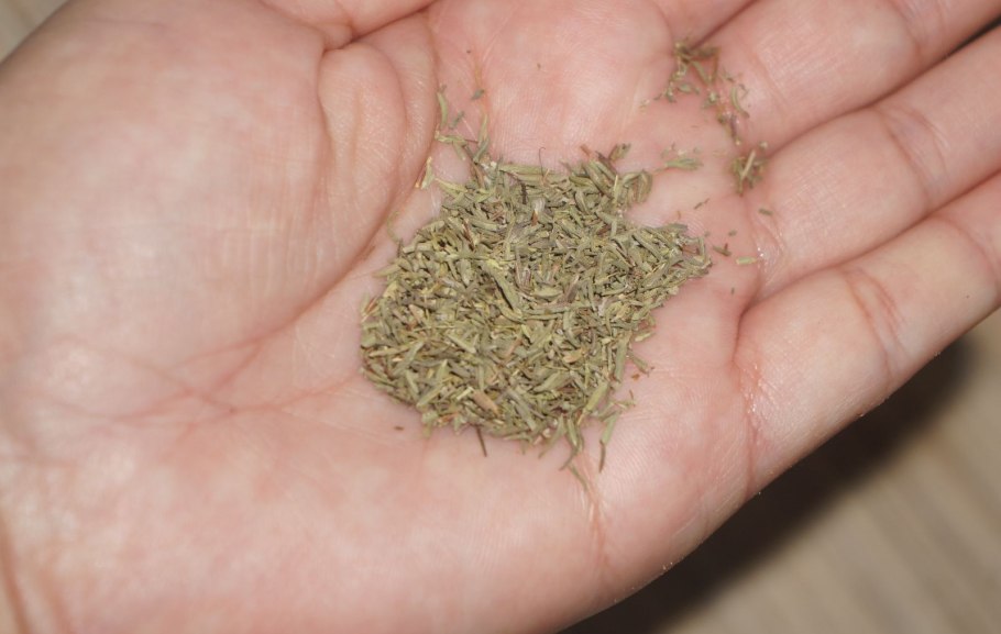 Тимьян обыкновенный (ползучий)