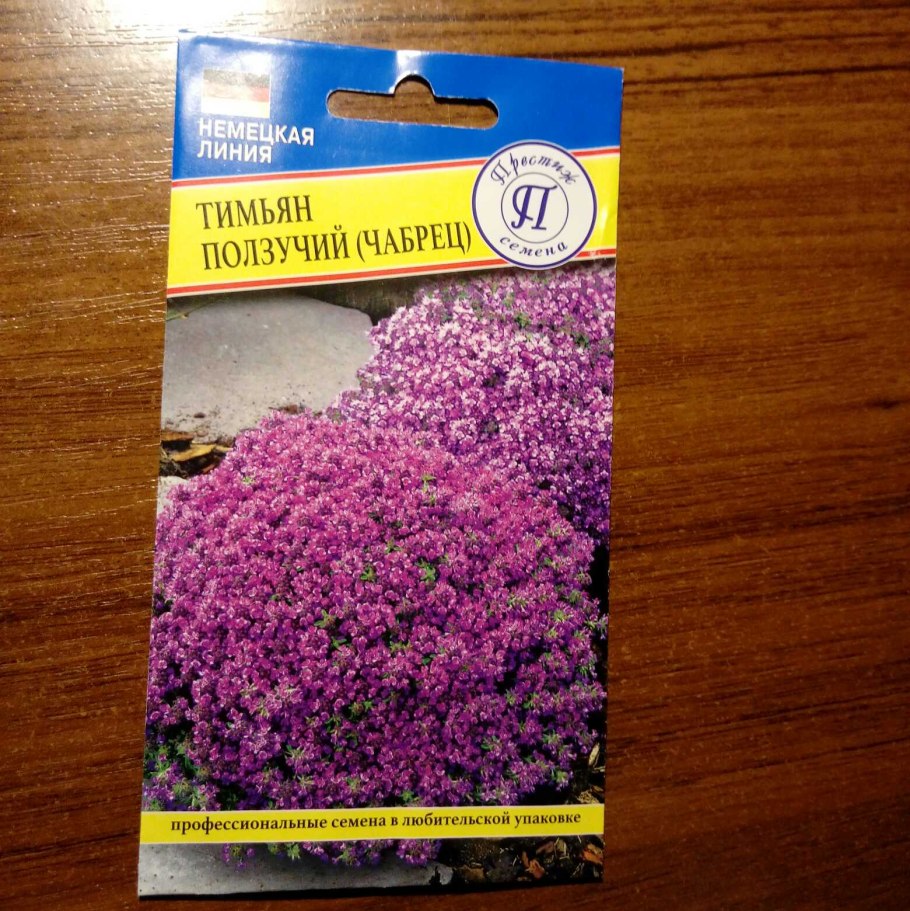 Тимьян длиннолистный