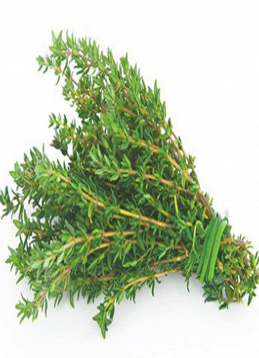 Тимьян пурпурный ковер