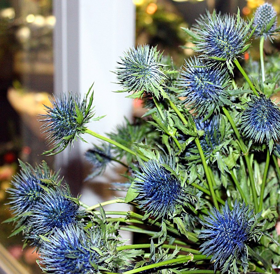 Синеголовник Крымский