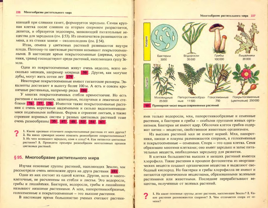 Царство растений классификация схема
