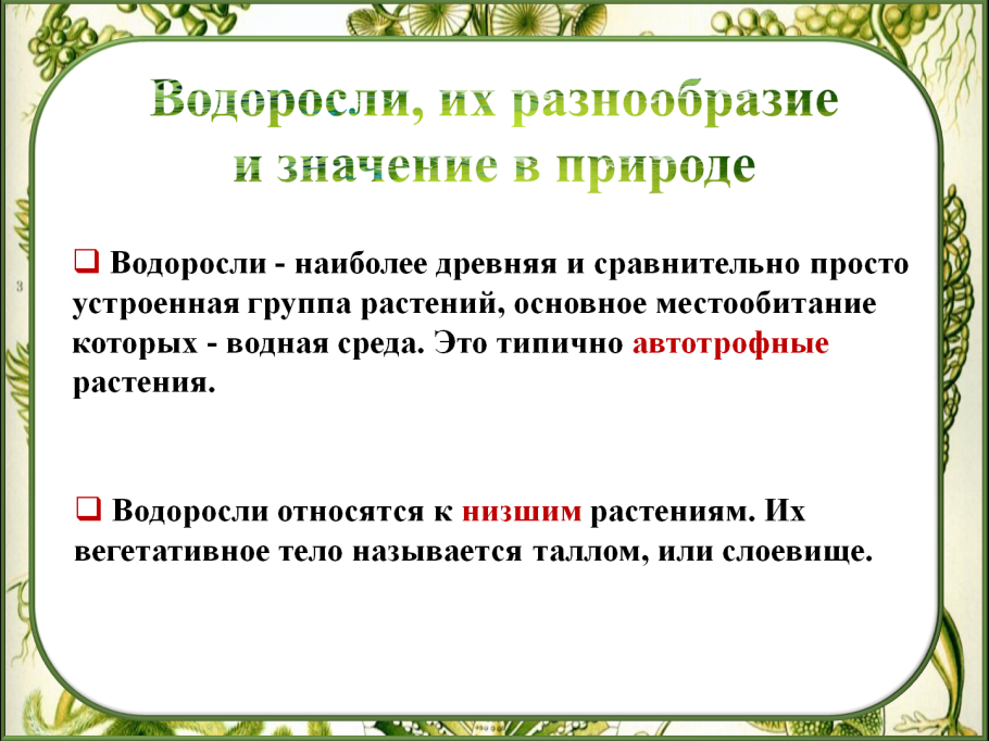 Ткани покрытосеменных растений таблица