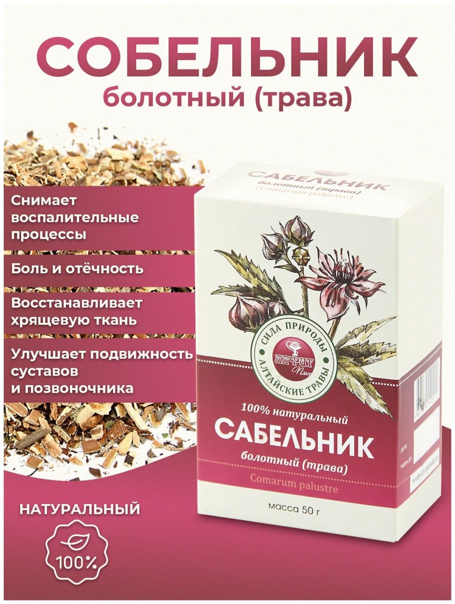 Сабельник болотный (Comarum palustre)