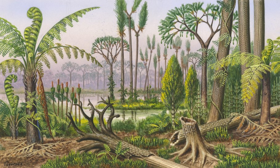 Кайнозой палеогеновый период