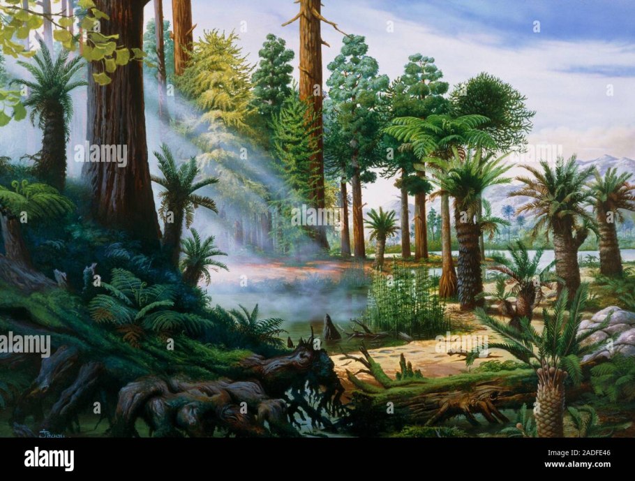 Каменноугольный период палеозойской эры растения