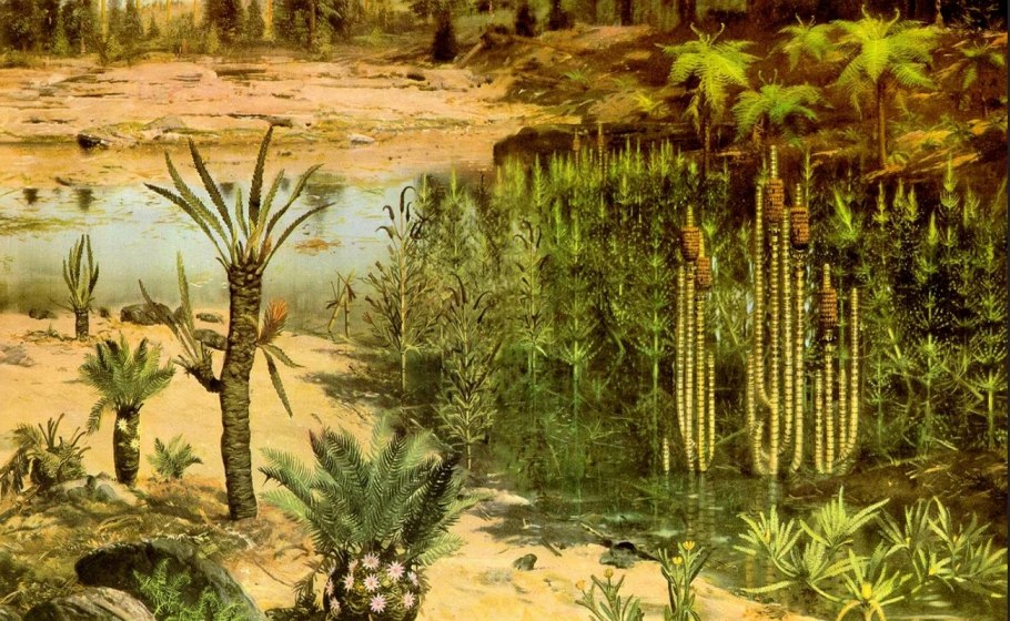 Лепидодендроны палеозойской эры