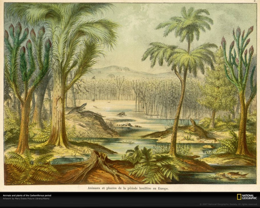 Мезозойская Эра Юрский период растения