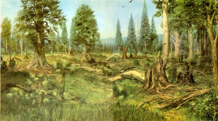 Кайнозой палеоген растения