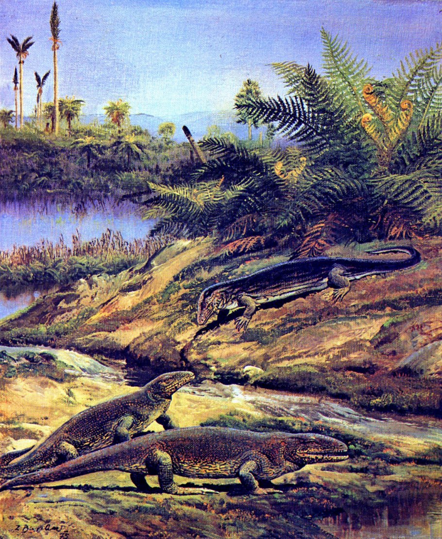 Палеозойская Эра и Мезозойская Эра