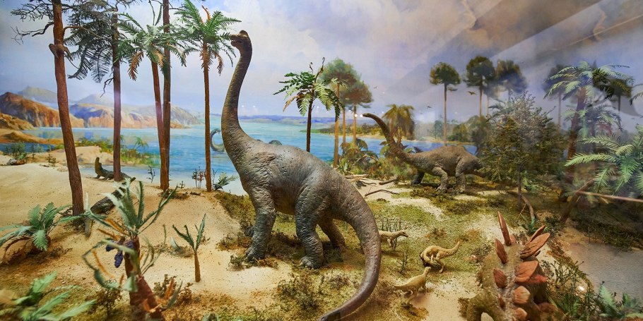 Пермский период растения