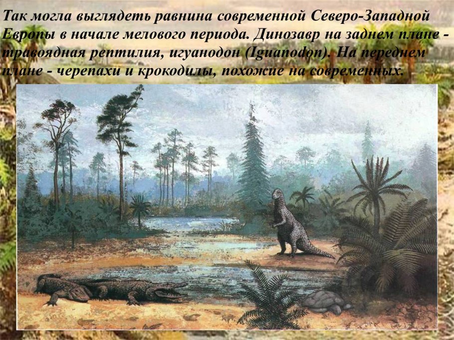 Древние Покрытосеменные