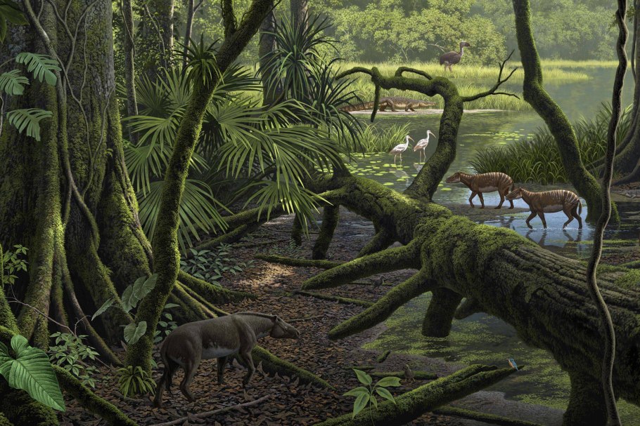 Кайнозой эра неоген