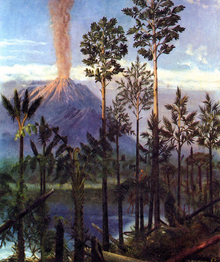 Кайнозой палеоген растения