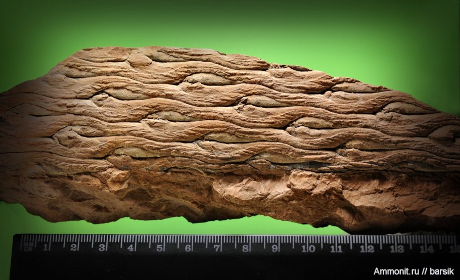 Геологические события Триасового периода