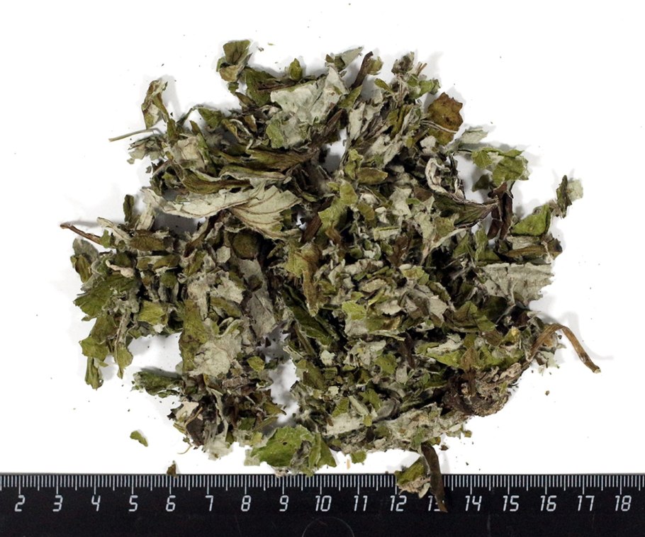 Мать и мачеха сбор