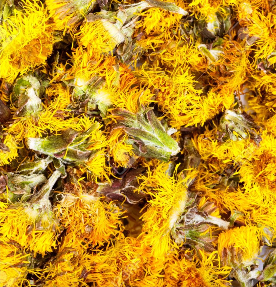 Шиншилла кудрявая