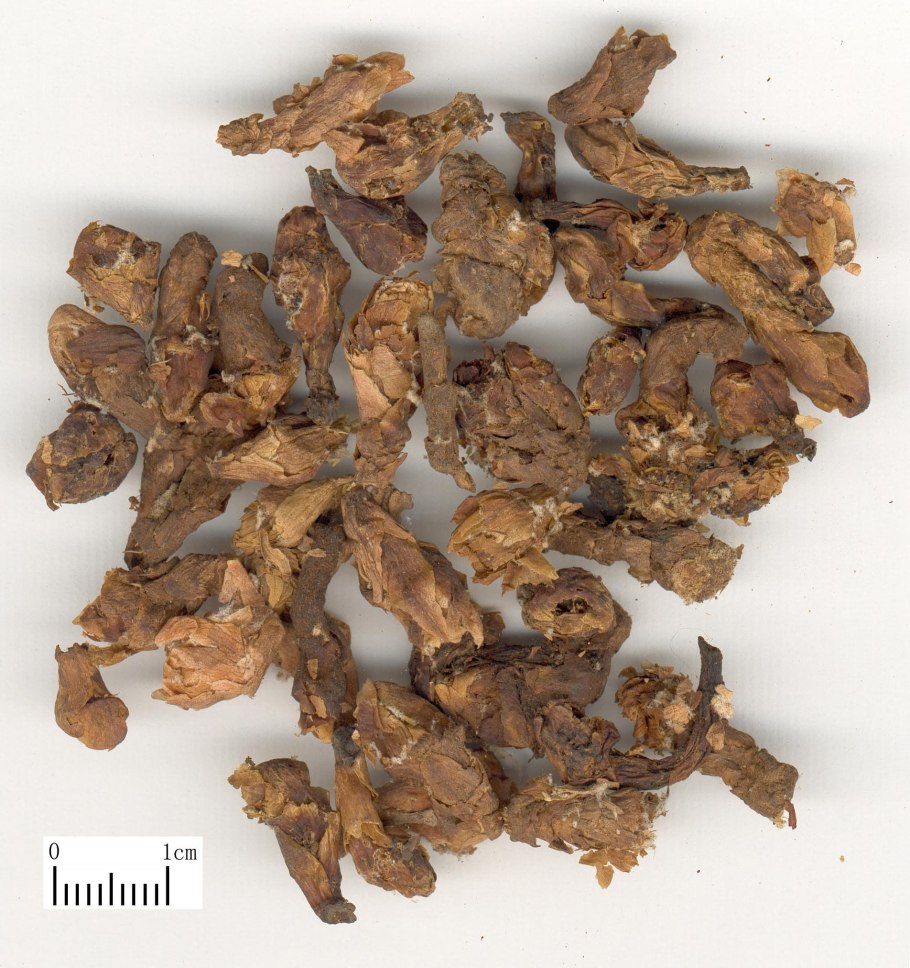 Мать и мачеха чай